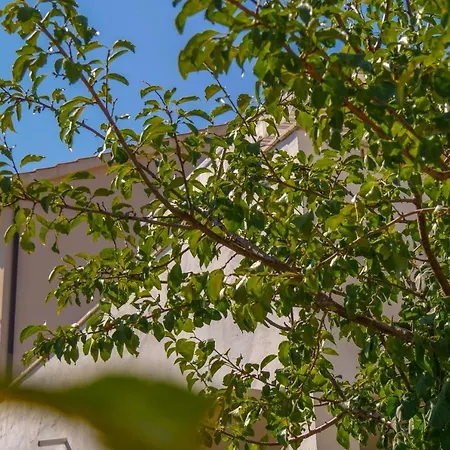Two Bedroom Stura * بوستيرا